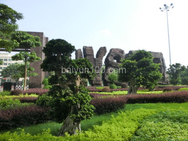 学校大门内部环境