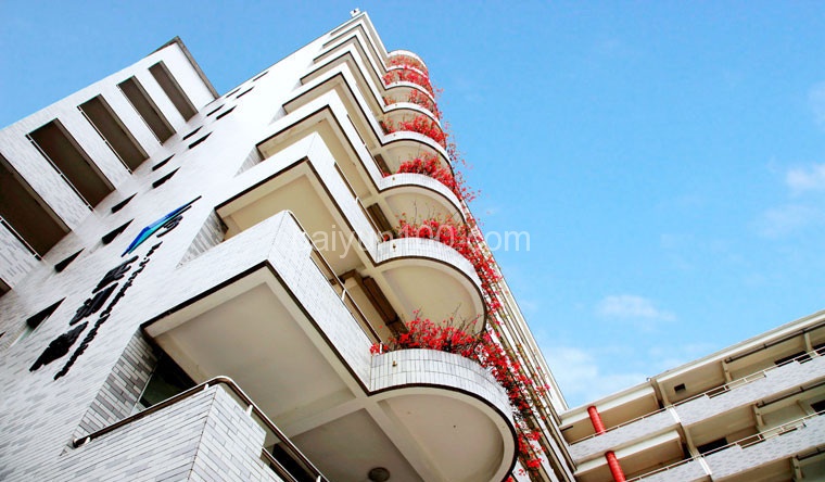 教学楼上的绿化