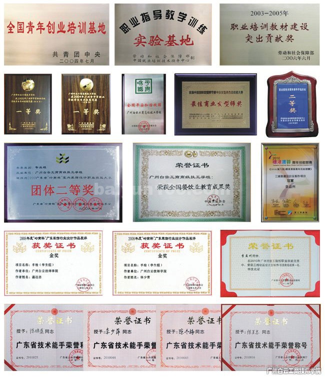 其他各类评比获奖