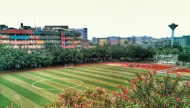 学校优势