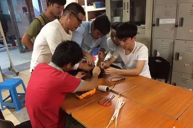 学校优势