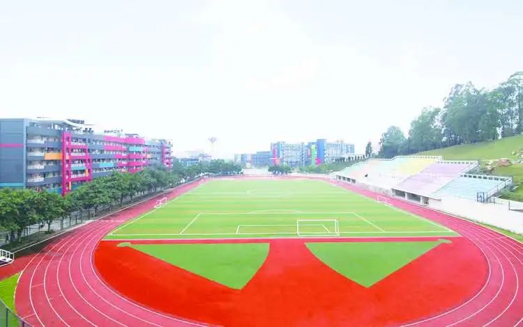 广东岭南现代技师学院计算机程序设计专业介绍