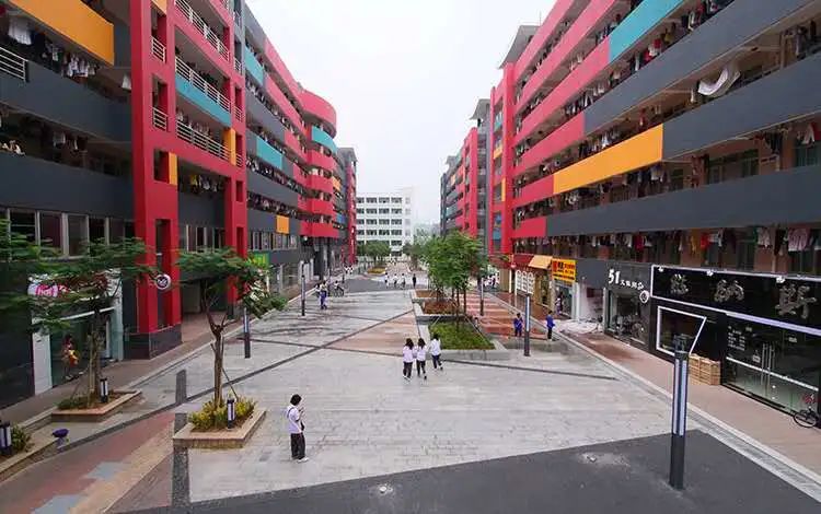 广东岭南现代技师学院计算机程序设计专业介绍