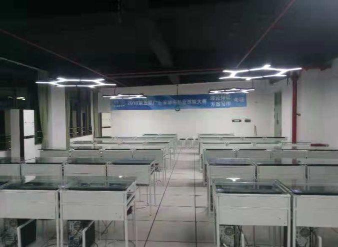 精心办赛，实力登顶——深技师文秘小花勇夺省赛大奖！