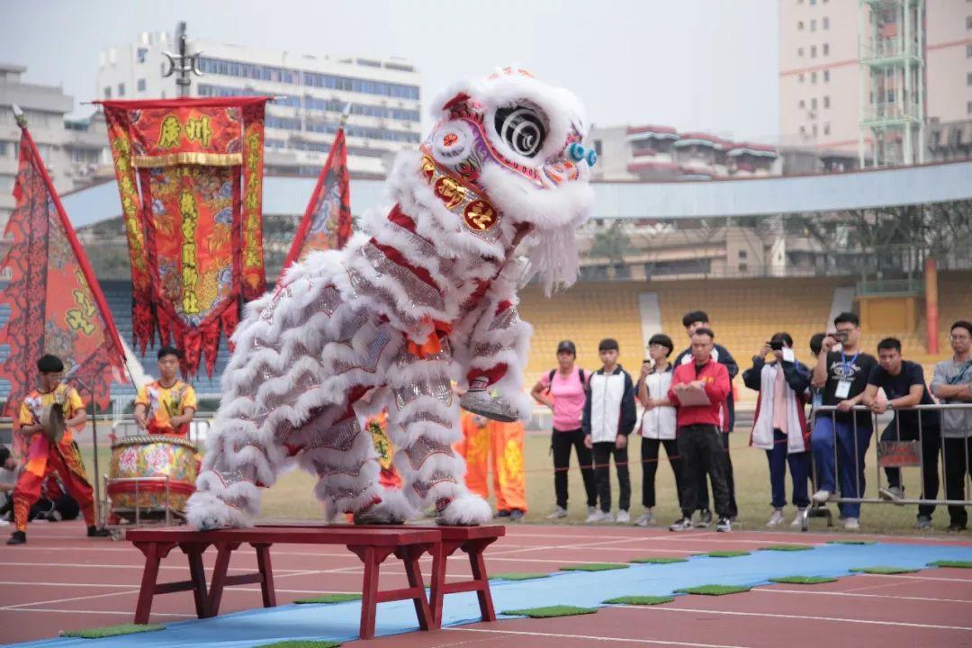 青春书写荣耀 | 广州机电参加市属技工院校第十七届学生运动会喜获佳绩