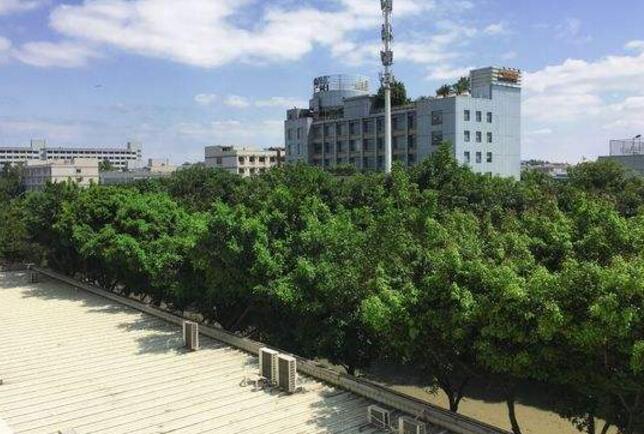 广州市最好的技校是什么_广州最好的技校有哪些-广东技校排名网