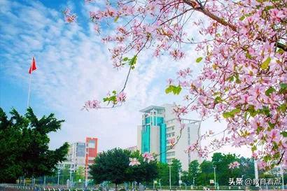 广州市轻工技师学院招生简章-广东技校排名网