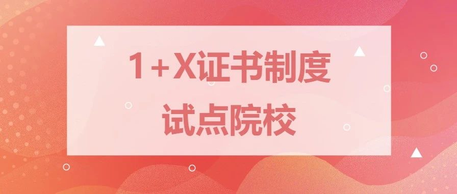 广州现代信息工程职业技术学院获批成为1+X证书制度试点院校-广东技校排名网