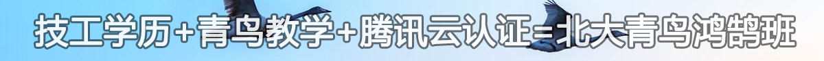 北大青鸟暨华教育鸿鹄计划班-广东技校排名网