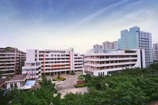 佛山市技校排名前十名都有哪些-职高学校排名-广东技校排名网