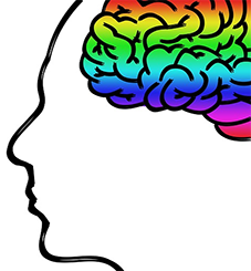 训练大脑，是走向成功的关键！-广东技校排名网