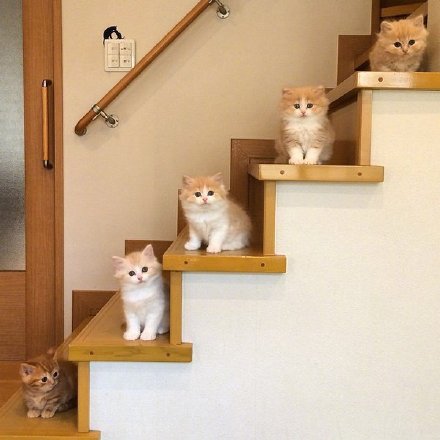 与宿舍舍友好好相处的十个建议-广东技校排名网