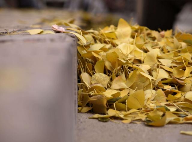 初中毕业想读大专，这些你要知道，别被骗了？-广东技校排名网