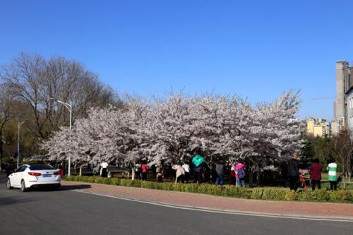 广东省对外贸易职业技术学校宿舍住宿环境-广东技校排名网