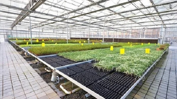 东莞市农业工程专业职校有哪些-农业工程专业前景-广东技校排名网