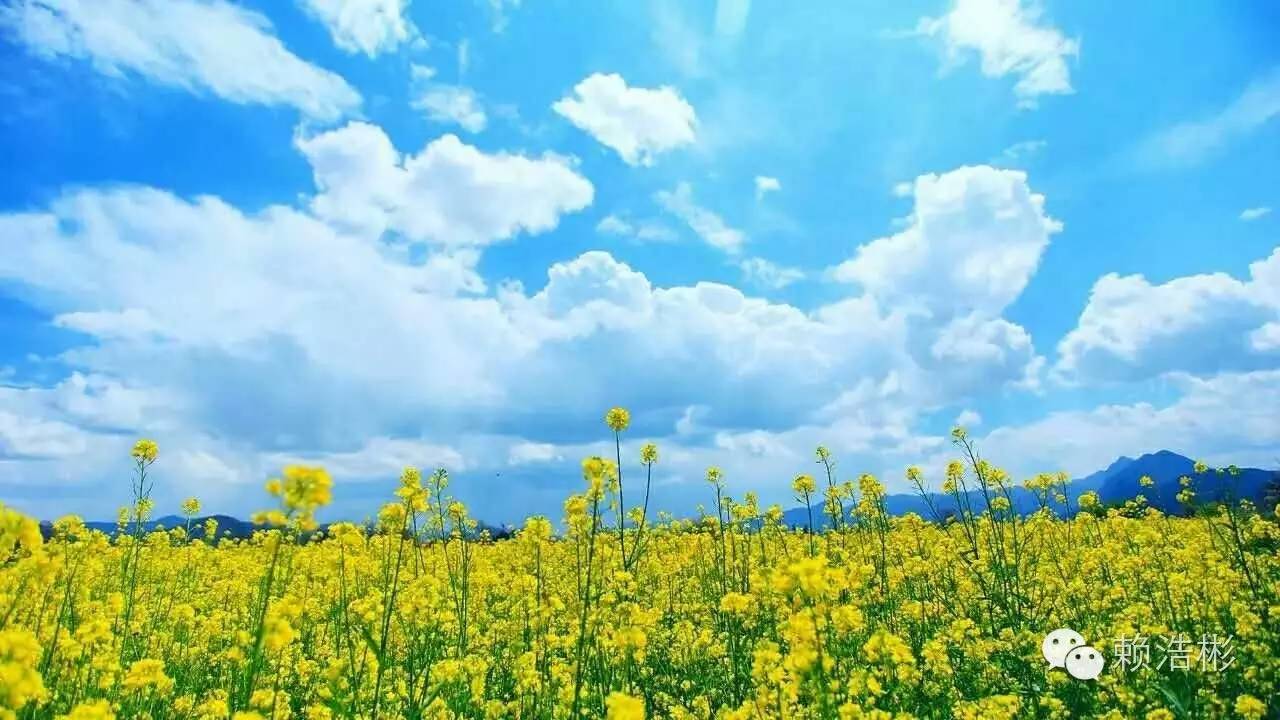 广东轻工职业技术学院联系电话-广东技校排名网