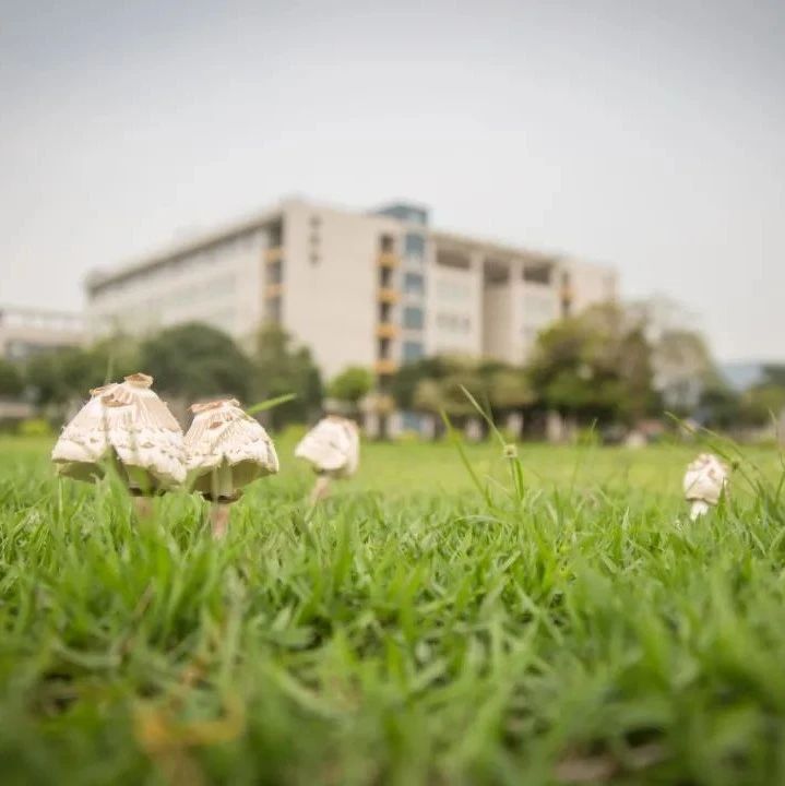 广东省交通运输技师学院校园环境照片-广东技校排名网