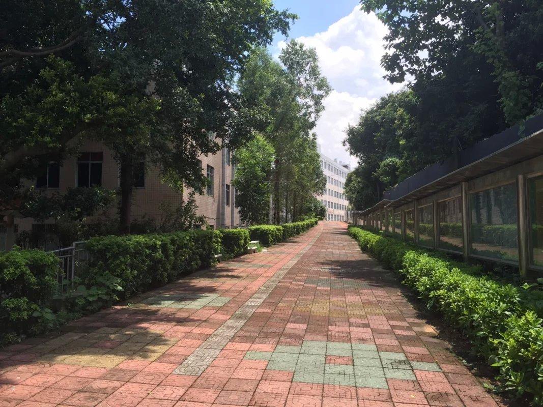 广州华成理工职业技术学校学校代码-广东技校排名网