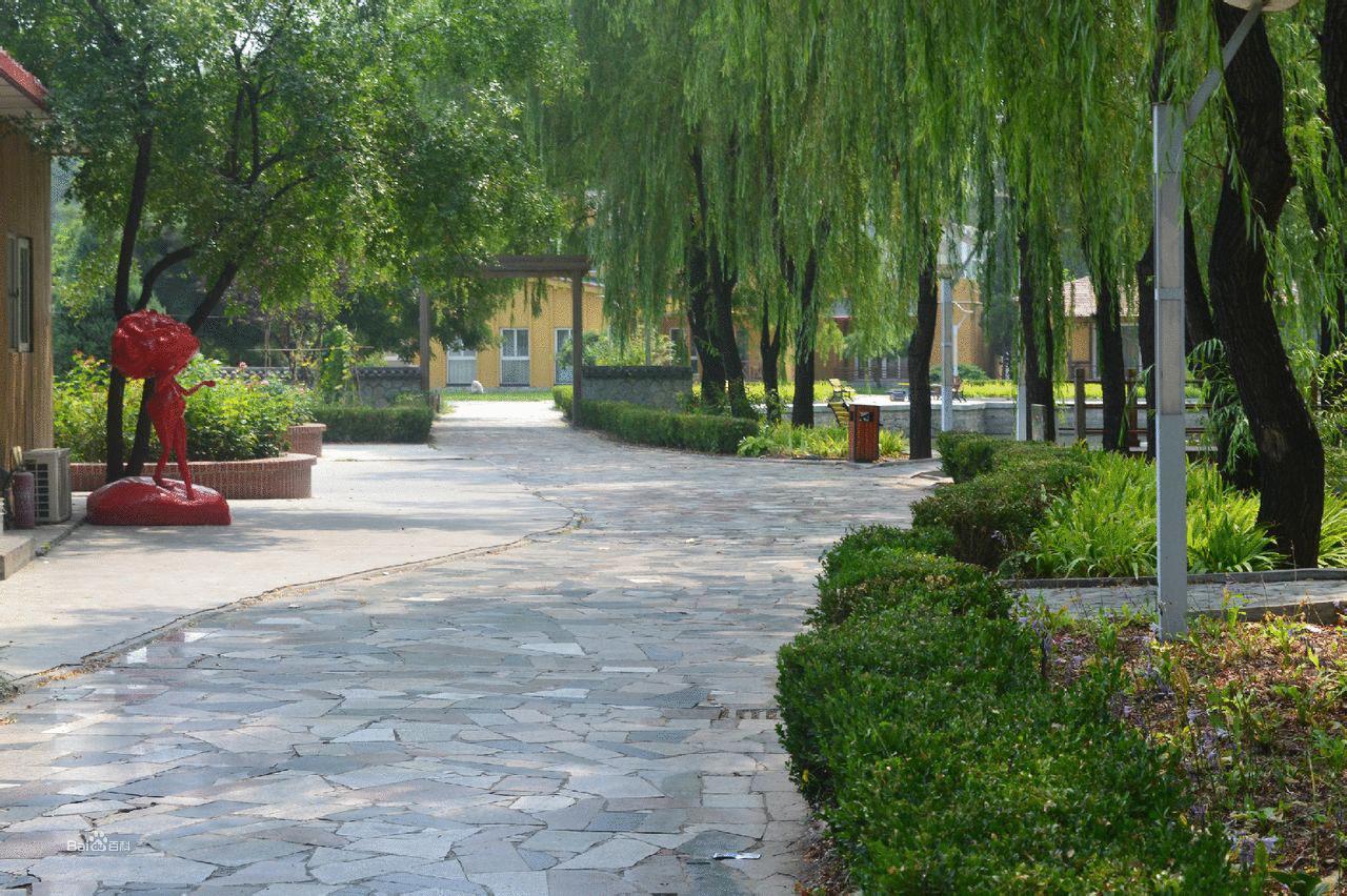 广州市越秀区启智学校(越秀区)怎么报名-报名网址和报名时间多少-广东技校排名网