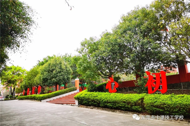 东莞市中德技工学校官网网站有几个