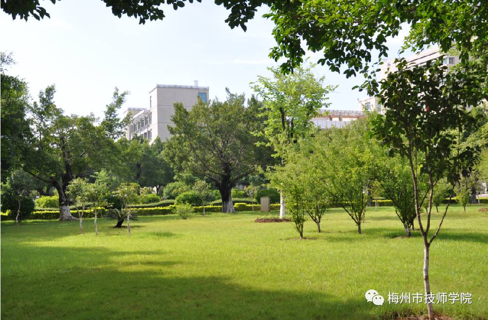 在梅州市技师学院读书是怎样的一种体验