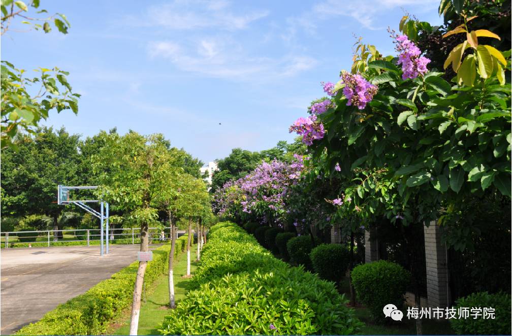 在梅州市技师学院读书是怎样的一种体验