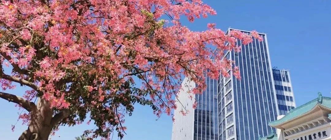 广东华夏高级技工学校好不好-广东技校排名网