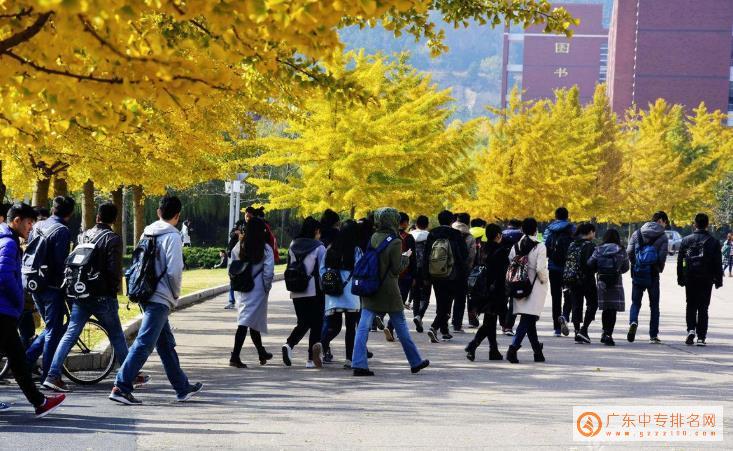 广东省有什么中专学校能让同学们就业好-广东技校排名网