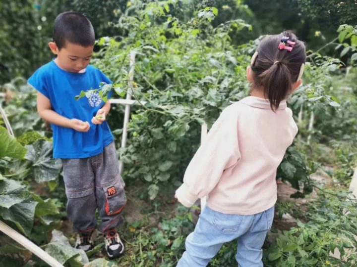 隆德县第一幼儿园2022年秋季学期招生简章（招生对象+招生范围+报名时间）-广东技校排名网