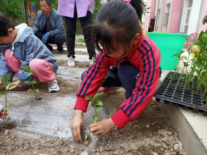 隆德县第一幼儿园2022年秋季学期招生简章（招生对象+招生范围+报名时间）-广东技校排名网