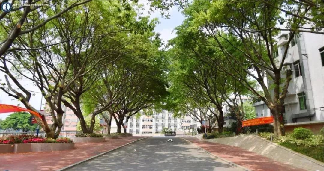 广东最美中专学院(附广东省属中专学校名单)-广东技校排名网