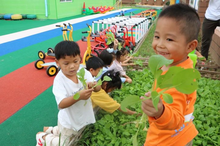 睢宁县金城街道中心幼儿园2022秋季招生简章（招生对象+报名所需提交审核的材料）-广东技校排名网
