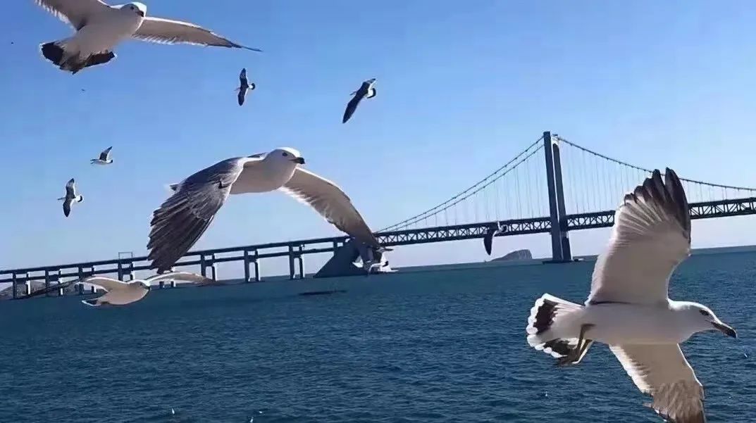 广州读旅游的中专有哪些-广东技校排名网