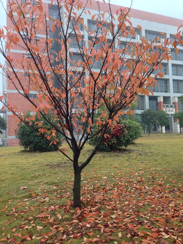 学大一对一教育靠谱吗效果好吗？学大一对一教育价格如何有多贵？-广东技校排名网