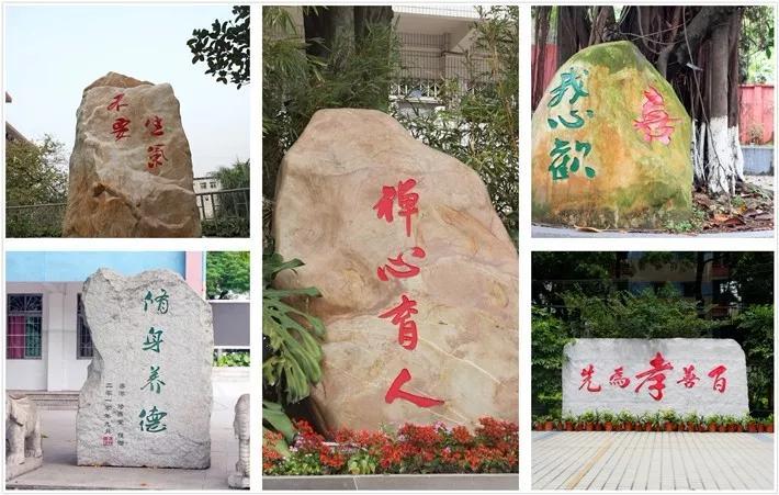 广东最美中专学院(附广东省属中专学校名单)-广东技校排名网