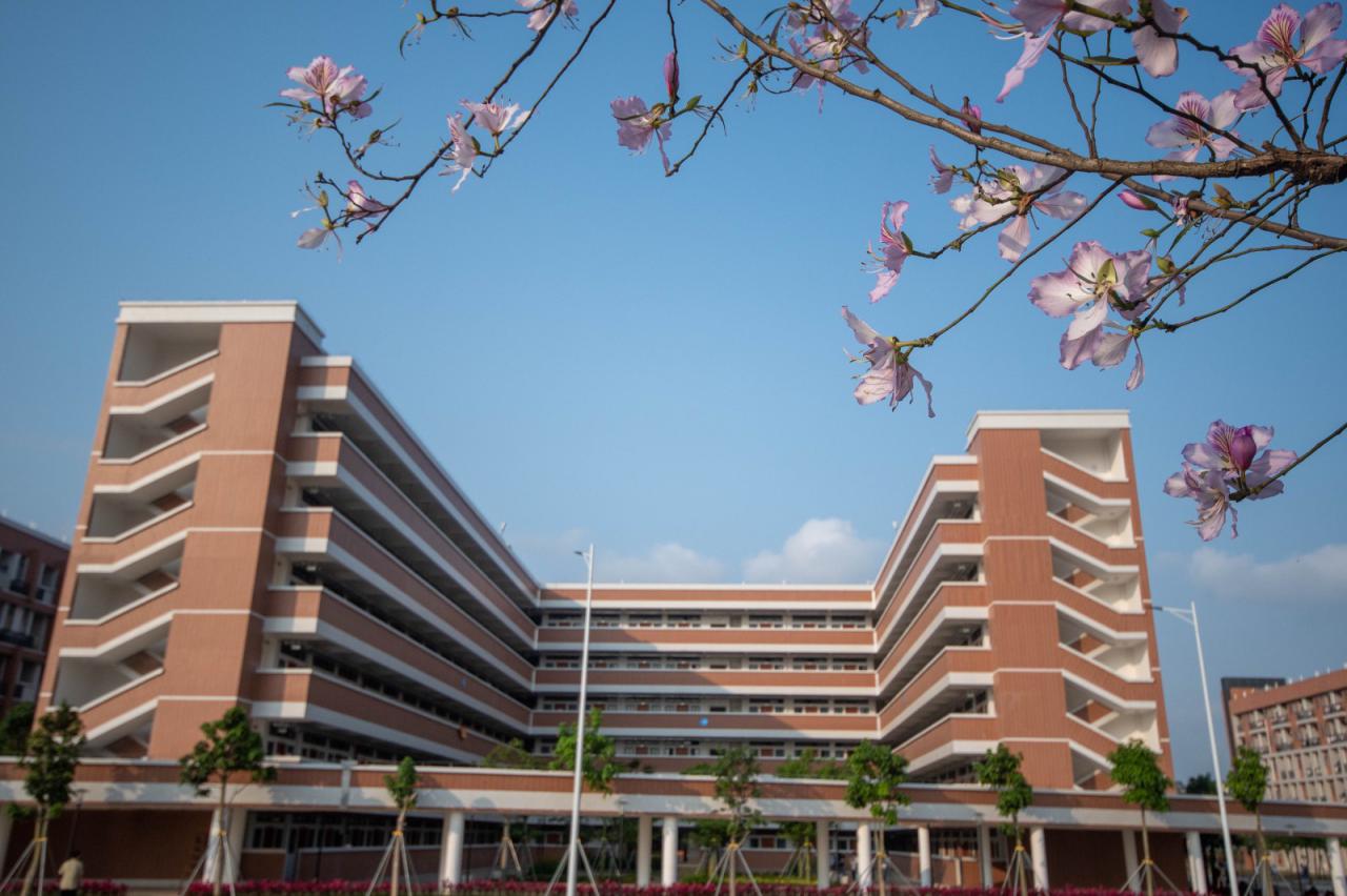 湛江幼儿师范专科学校（附校园环境）-广东技校排名网