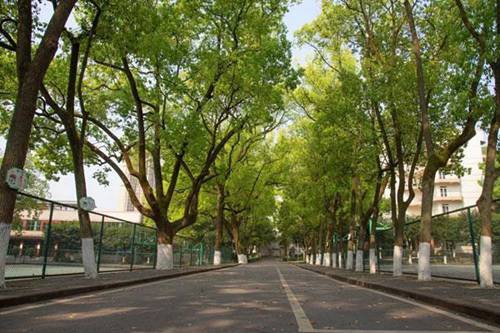衡阳师范学院2022年招生录取分数线