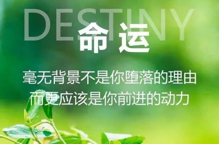 2023南充市排名前十的高中有哪些-广东技校排名网