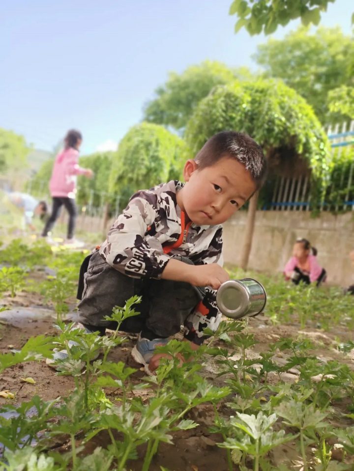 隆德县第一幼儿园2022年秋季学期招生简章（招生对象+招生范围+报名时间）-广东技校排名网