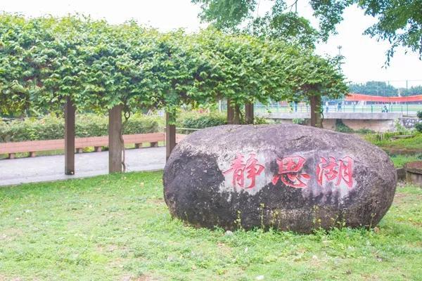 广东最美中专学院(附广东省属中专学校名单)-广东技校排名网