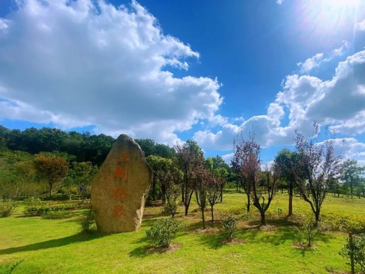 镇江高等专科学校2022年招生简章 附：3+2招生简章-广东技校排名网