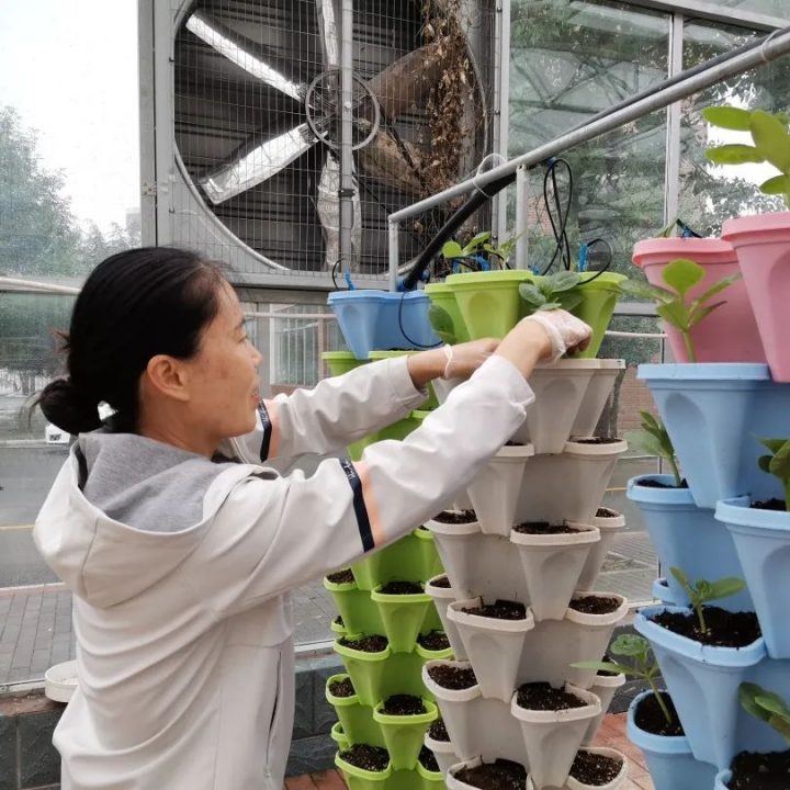 淄博机电工程学校实践基地组织开展起苗移栽专项劳动-广东技校排名网