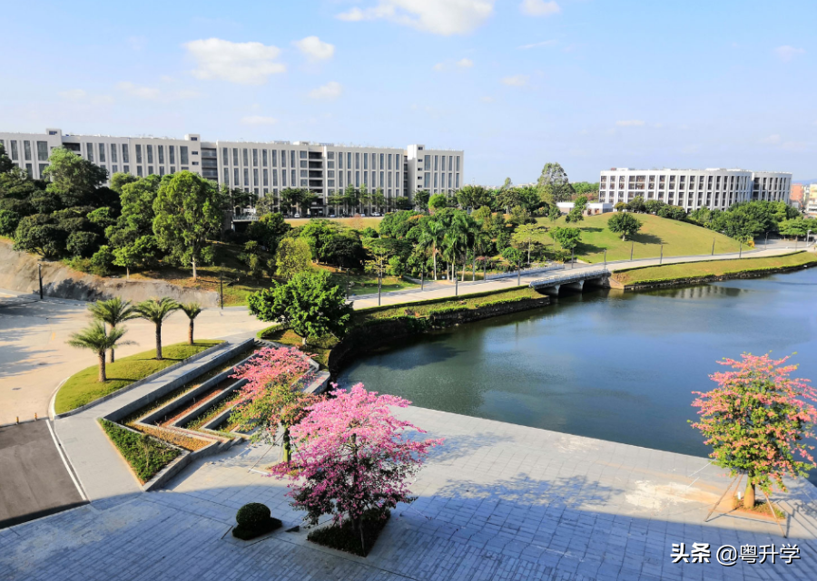 广州科技职业技术学院(附专科招生计划表)-广东技校排名网
