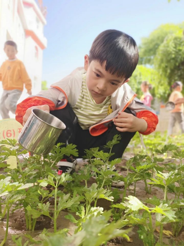 隆德县第一幼儿园2022年秋季学期招生简章（招生对象+招生范围+报名时间）-广东技校排名网