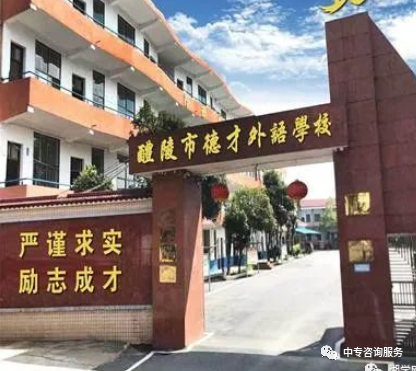 株洲市德才职业技术学校2022招生简章（学校招生总计划350人）-广东技校排名网