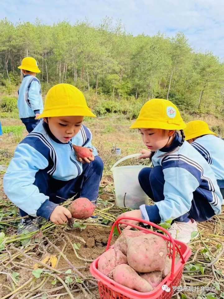 罗田县东辰幼儿园2022年秋季招生简章（招生对象+报名时间地点+所需材料）-广东技校排名网