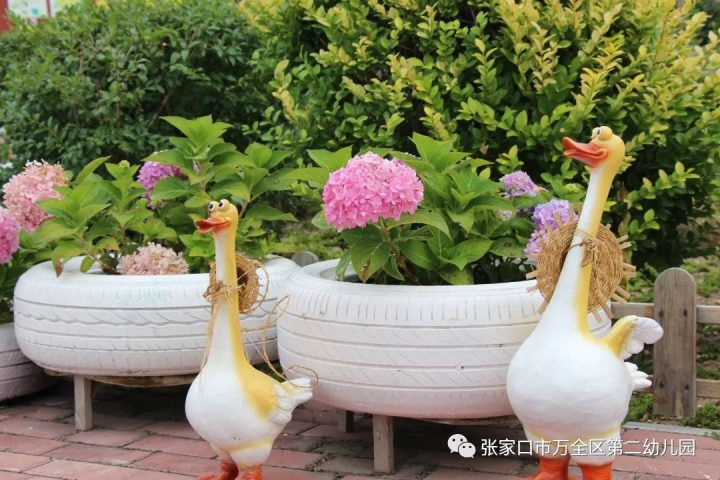 张家口市万全区第二幼儿园2022年招生简章（招生计划+招生条件+招生录取方式）-广东技校排名网