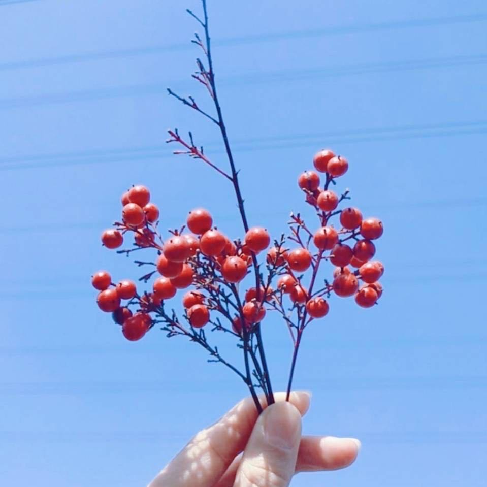 中专教师资格证怎么考？有什么要求？中专教师工资一般多少-广东技校排名网