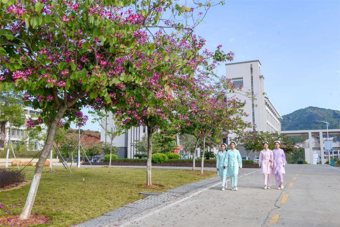 河源市卫生学校（附升学渠道）-广东技校排名网