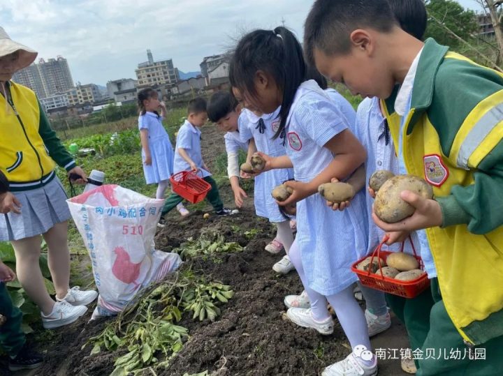 南江镇金贝儿幼儿园2022秋季招生简章（招生对象+招生时间+入学资料）-广东技校排名网